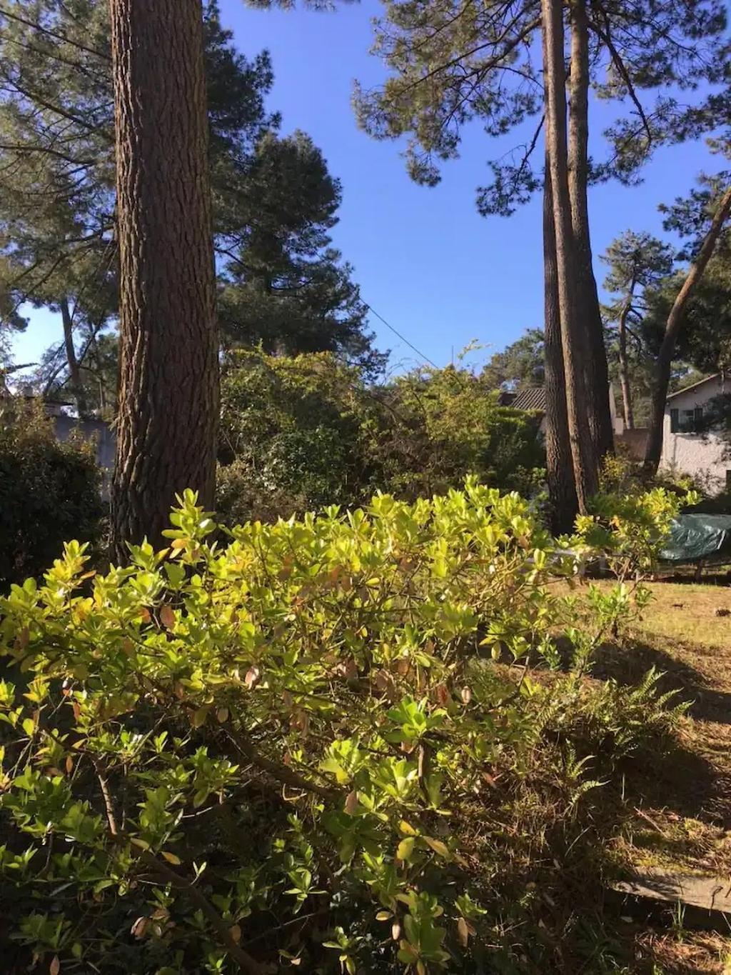 Villa L'Herbaudiere - La Baule Les Pins Exterior foto